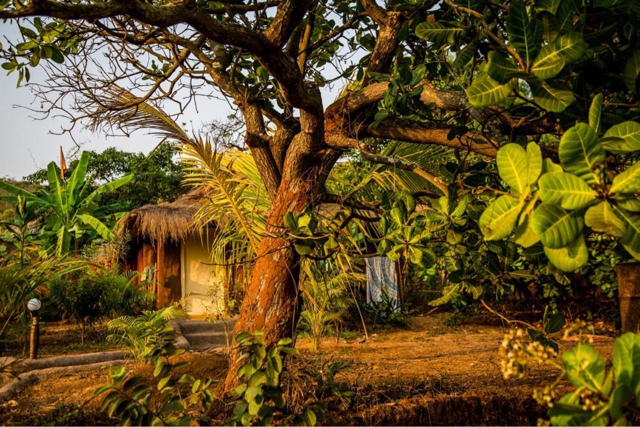 فندق Banyan Tree Yoga مادريم المظهر الخارجي الصورة